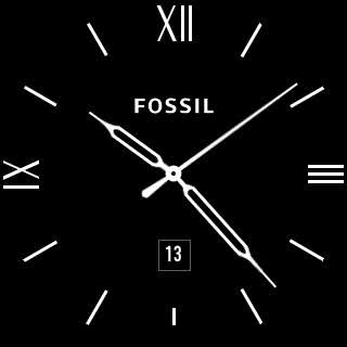 Fossil XII