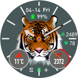 Tiger watch