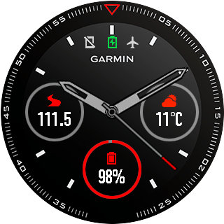 GarminClone