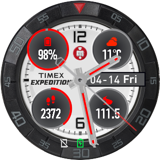 Timex Expedition