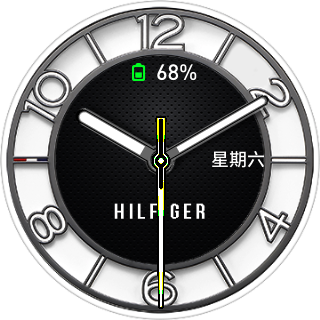 HilfigerV2a