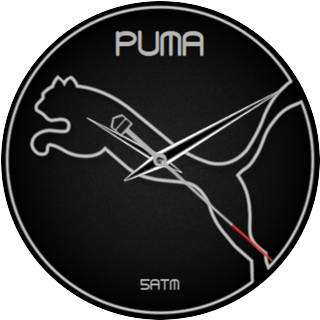 Black_Puma