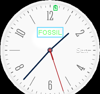 white_fossil_elegance