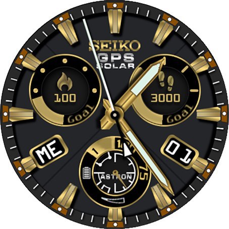 Seiko Astron Solar GPS