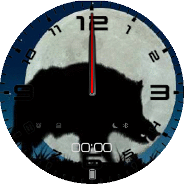 CAZA JABALÍ AGUARDO NOCTURNO ESPAÑA