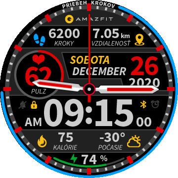 Hemendex 201104 SK 12/24 hrs