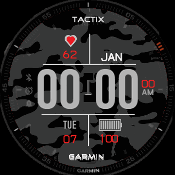 Garmin tactix Camo
