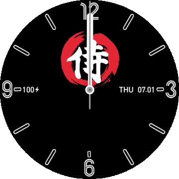 Digi_analog_Samuraj_TRex