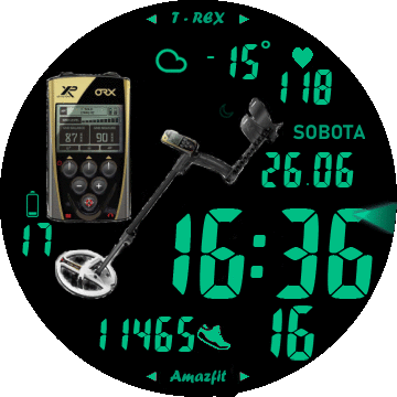 Digi_Detektor_TRex_CZ