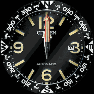 CITIZEN MILITARY MULTICOLOR