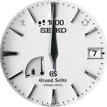 Seiko6