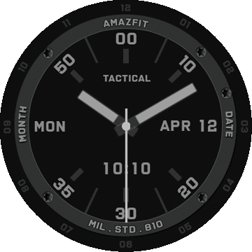 GARMIN TACTICAL