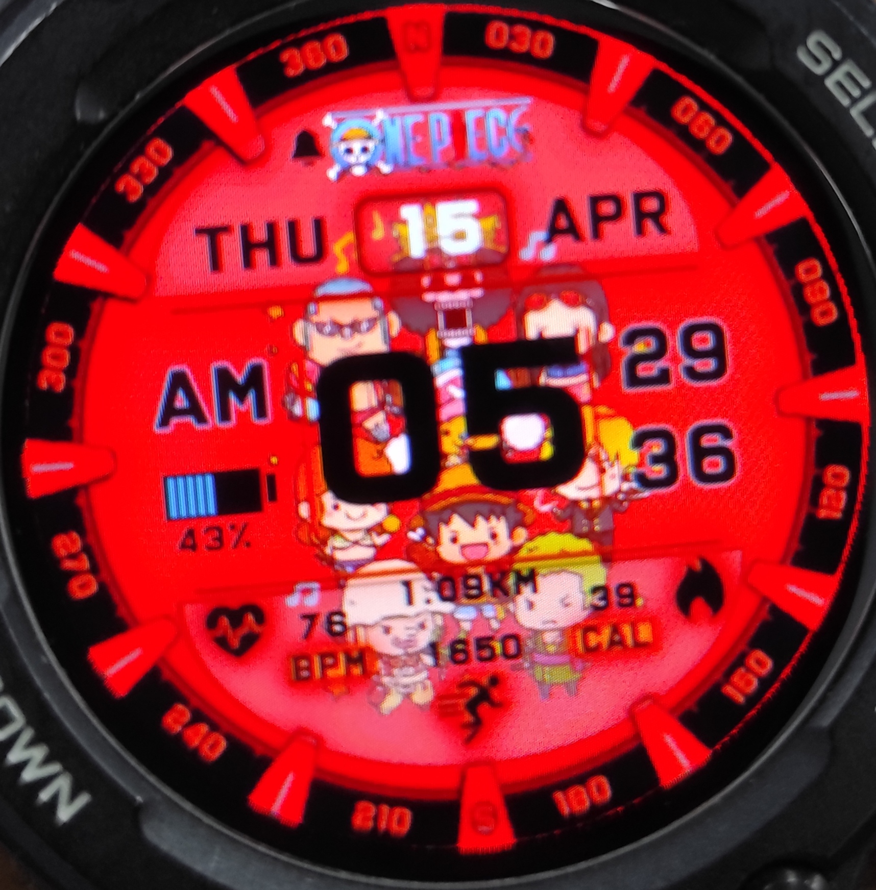 Onepiece_mugiwara_pirate