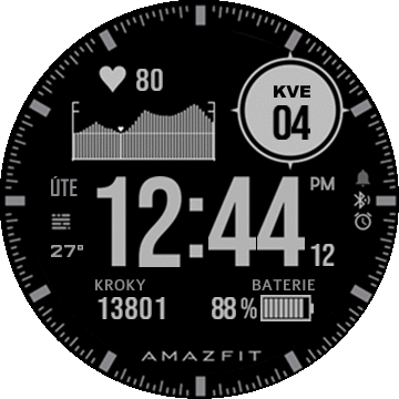 Digi_garmin_4_12hrs_weather_TRex_CZ