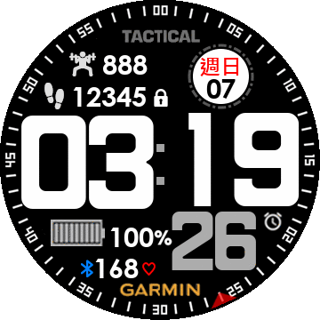Garmin Tactical Max