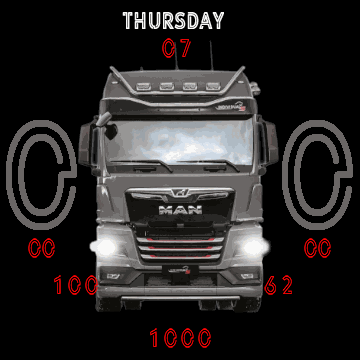 MAN_Individual_Lion_S