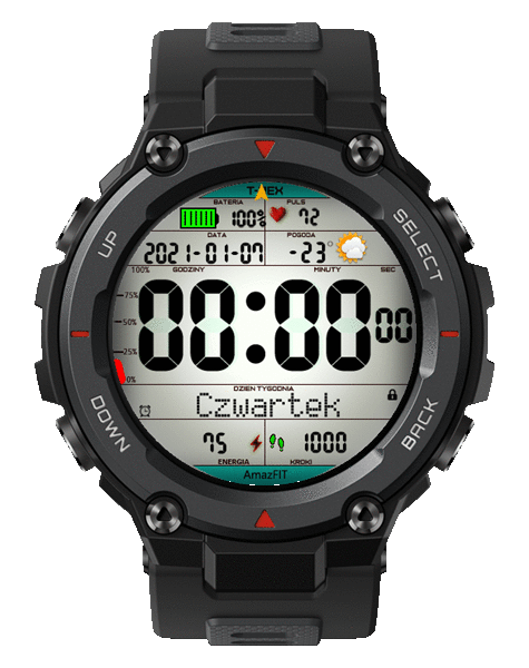 SimpleDigital for T-Rex MOD Poland .