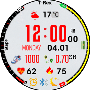 AmazfitTrex24