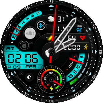 MD242 for T-rex indiglo