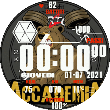 accademia vincenzo rosso