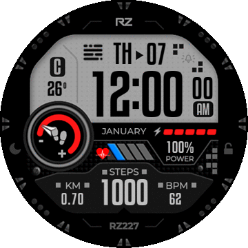MOD (RZ227 Digital By asoo) conversion T-REX