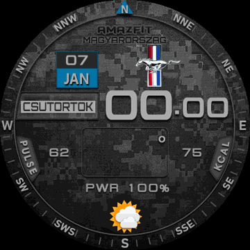 Tactical_II_hun_Mustang_and_Shelby