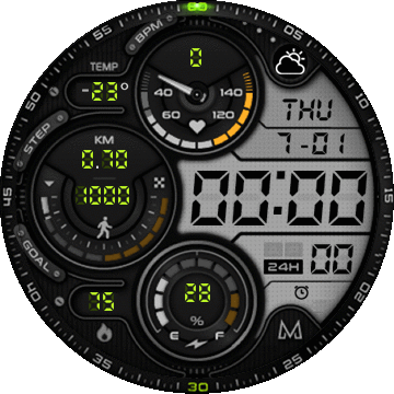 MD 205 - Updated Full Aod