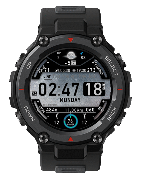 Dig_watch_Grey_sport__T-Rex_Pro