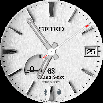 Seiko10