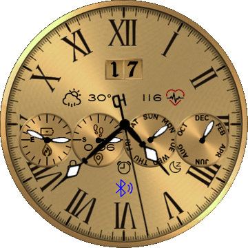 Steinhausen Gold T-Rex Pro