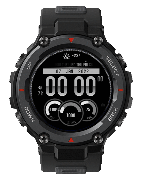 Ra_010_simple Gray_T-rex Pro