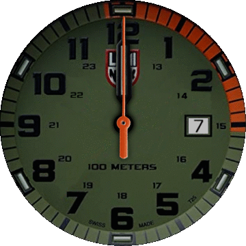 luminox navy seal turtle giant