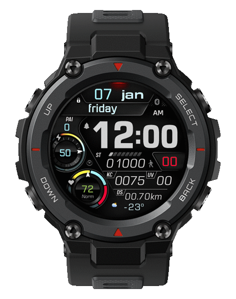 Ra_283_black_t-rex Pro