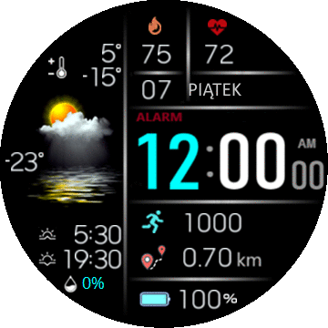 mirda69 Weather Station V2.1 T-Rex Pro