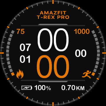 Gilzone_Garmin_Epix_big