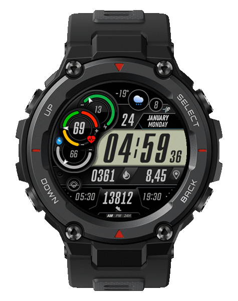 MD229 LCD DE T-REX Pro