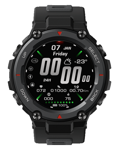 Ra_simple. T-rex Pro