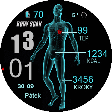 BodyScan