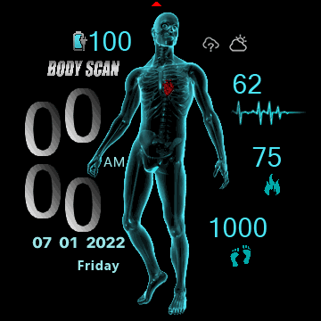 BodyScan Animation