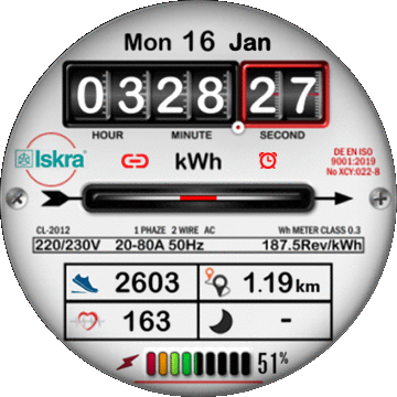 Electric Meter