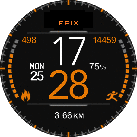 EPIX Garmin