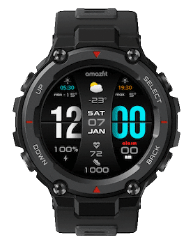 BridgeDam  T-Rex Pro