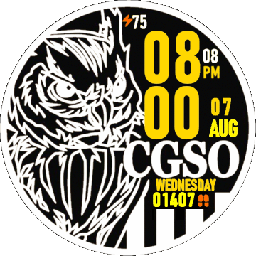 CGSO WHITE OWL