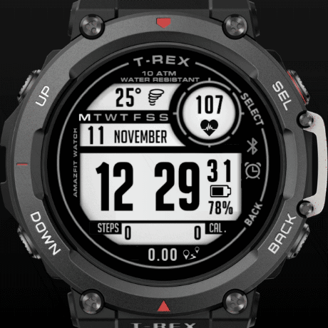 RS.GARMIN.11