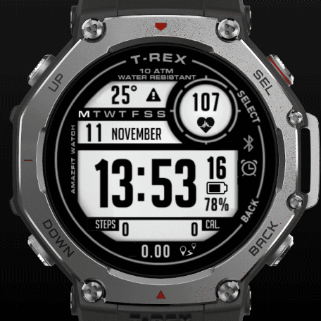 RS.GARMIN.11