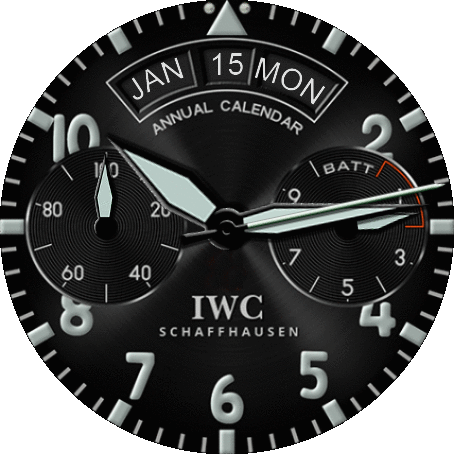 IWC ANUAL