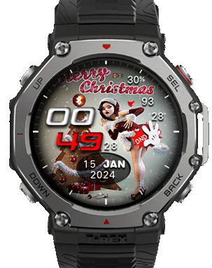 HT T3 016Christmasv1