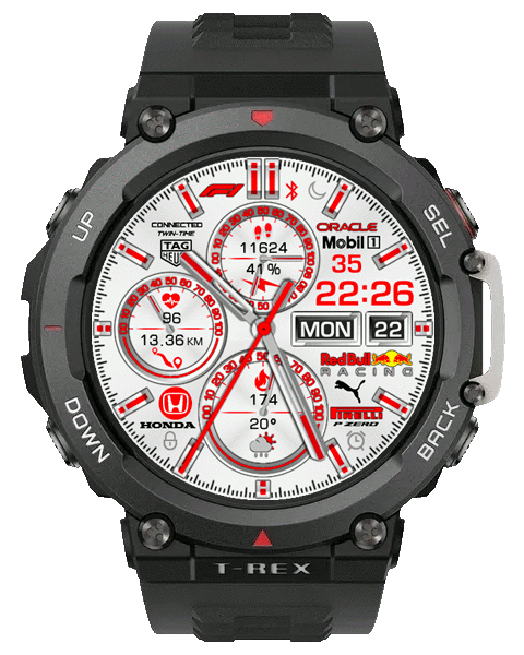 carrera_redbull_white