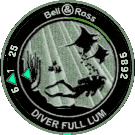 Bell diver