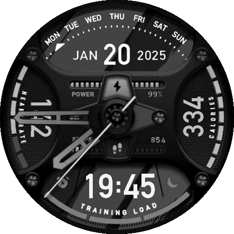 Sports-Element-T-Rex3-V3.5